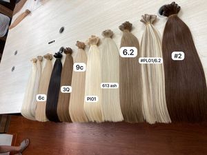 Faisceaux alignés sur les cuticules Extension de cheveux humains Vrigin Cambodgiens 613 os brut vietnamien droit - Product Image 6
