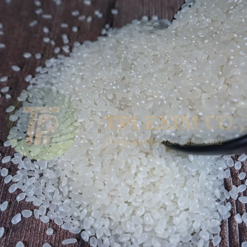 Japonica Rice Origin From Vietnam Best Quality Japonica Rice