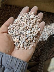 Venta al por mayor PIEDRAS DE COBBLE ROSA LISAS Y REDONDAS DE VIETNAM GUIJARROS NATURALES PARA PAISAJISMO DE VILLA ELEGANTE - Product Image 5