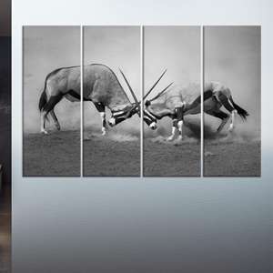 Impresión en lienzo de Oryx Antelope Fight: arte monocromático de la vida silvestre africana, JUEGO DE 4 LIEÑOS - Product Image 1