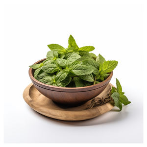 Herbojit International Superior Quality Tulsi Leaf <b>Extract</b> Pure Natural Herbal Ingredient India Available Bulk Vacuum Extraction - Product Image 1