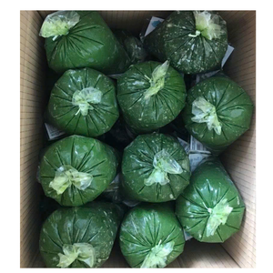 HOJA DE YUCA CONGELADA ORIGEN DE VIETNAM BIEN LIMPIA Y EMPAQUETADA LISTA PARA USAR PARA INDUSTRIA ALIMENTARIA MERCADO AL POR MENOR O AL POR MAYOR - Product Image 2