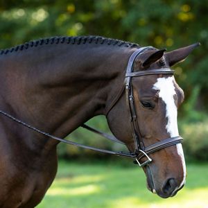 Brida Ecuestre de Cuero Indio Puro con Tirador Lateral, Negra, Tamaño y Logotipo Personalizables, Precio Económico al por Mayor, Alta Calidad - Product Image 1