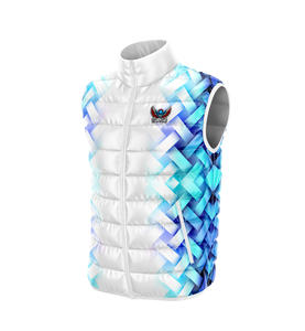 Chaleco de invierno con cuello levantado para hombre con capucha, chalecos de lona acolchados con burbujas, chaqueta al por mayor, chaleco acolchado de lona en blanco - Product Image 5