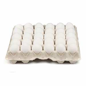 Compre Ahora Huevos de Gallina Blancos Frescos Conservados de Alta Calidad, Baratos, en Caja a Granel, con 2 Meses de Vida Útil, Origen Francia - Product Image 1