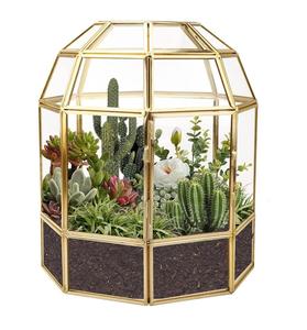 Excellent Quality <b>Glass</b> <b>Terrarium</b> For Living Room or Dining Room Decoration Item <b>Glass</b> <b>Terrarium</b> Hanging. - Product Image 4
