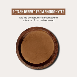 Fertilizante de Potasio Derivado de Rodófitas, Humato de Potasio en Polvo, 100% de Pureza, Hecho en India para Uso Agrícola - Product Image 2