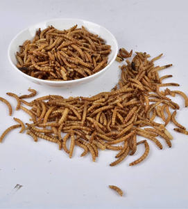 Vietnam High Grade Dried Mealworms and BSF Larvae Long Shelf Life Feed for Aquaculture - Product Image 3