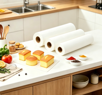 Papier sulfurisé non blanchi résistant à la chaleur, revêtu de silicone, antiadhésif, pour four et cuisine