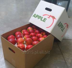 Manzanas Fuji Frescas - 100% Naturales, Dulzura Natural, Disponibles a Buenos Precios - Product Image 4