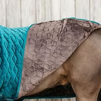 Tapis/couverture de cheval en velours émeraude matelassé avec fourrure peau de mouton 100G 200G 300G classement polyester personnalisable dernière conception