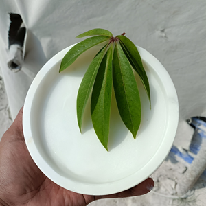 Factory Direct Low Price Round Marble Serving <b>Tray</b> Ceramic Fruit <b>Tray</b> for <b>Bathroom</b> <b>Vanity</b> and Home Decor - Product Image 3