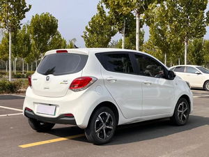 Auto Eléctrico Star Ev 0km, Vehículo de Nueva Energía con 310km de Autonomía, Disponible en Stock - Product Image 5