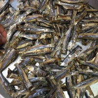 FRUITS DE MER FRAIS EN VRAC | HARENG À LA VAPEUR ET SÉCHAGE