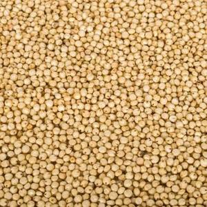 Sorgo Orgánico Seco, Grano Entero, Limpio, Clasificado, Cereal Grueso, Sin Gluten, Grado Alimenticio, Suministro a Granel en Venta - Product Image 2