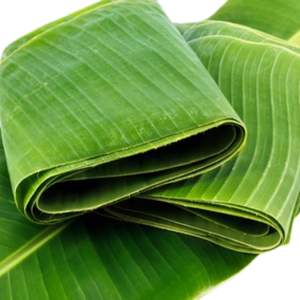 2025ใบกล้วยธรรมชาติ100% ผลิตภัณฑ์ทางการเกษตรส่งออกจากเวียดนาม - Product Image 1