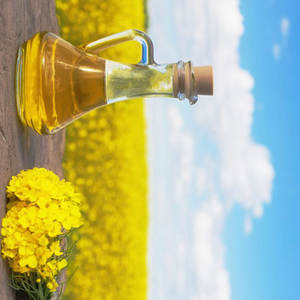 น้ำมันเรพซีดบริสุทธิ์เกรดดีที่สุดน้ำมันคาโนลาที่ไม่ผ่านการกลั่นน้ำมันทำอาหารคุณภาพสูงน้ำมันคาโนลากลั่นออร์แกนิก - Product Image 3