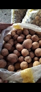 Produit de fruits secs jaunes à saveur acide, citron vert de Rangpur, conservé au sel et emballé en vrac, qualité 1, 4 cm-7 cm - Product Image 4