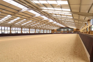 Fast Build Pre-Engineered Steel Indoor Horse Arena馬の安定した建物金属製の馬車プレハブライディングアリーナ金属製の納屋 - Product Image 4