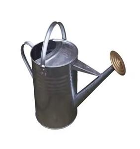 Arrosoir portable en métal avec poignée facile à saisir pour un jardinage pratique et une finition vintage - Product Image 2