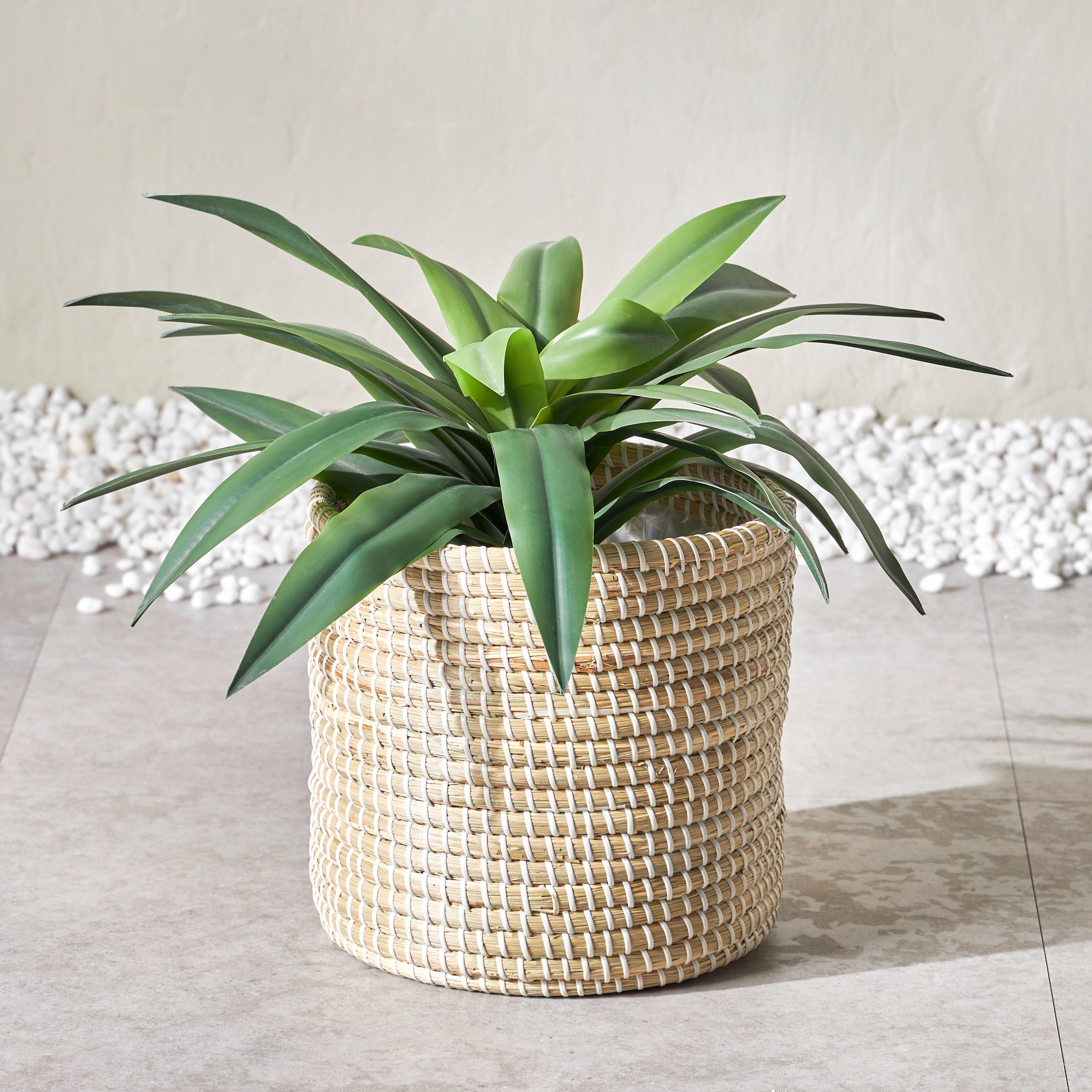 ธรรมชาติ