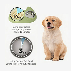 Mangkuk Makan Hewan Peliharaan 2-in-1 Stainless Steel Anti Bocor dengan Alas Silikon Anti Selip untuk Anjing dan Kucing - Product Image 5