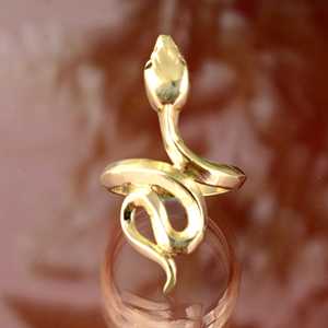 Anillo de Serpiente de Diseño Moderno, Anillos Góticos de Latón para Mujer, Anillo de Cobra Chapado en Oro de 18k para Venta al por Mayor/OEM/ODM - Product Image 1