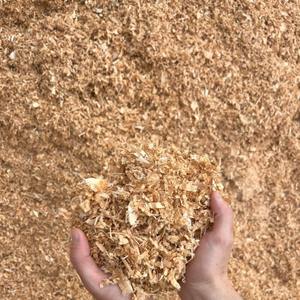 Wholesale Premium <b>Pine</b> Wood Shavings Bedding for Poultry Equestrian Use Made in Thailand 24-Month <b>Shelf</b> Life Fast Delivery - Product Image 6