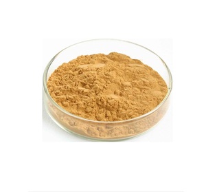 Poudre d'extrait de feuille de Cissus Quadrangularis de haute qualité 10:1 poudre d'extrait de Hadjod pur et naturel - Product Image 1