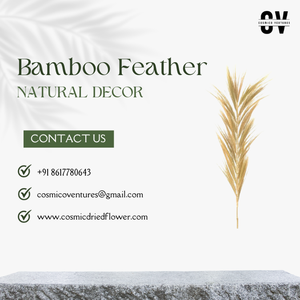 Plumas de Bambú Natural de Alta Calidad al por Mayor para Manualidades, Decoración de Eventos de Halloween y Otras Decoraciones con Flores y Hierba Secas - Product Image 5