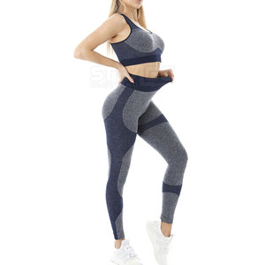 Conjunto de Yoga sin Costuras para Mujer, Superventas, Alta Calidad, Precio al por Mayor, 2 Piezas, Ecológico y Transpirable para Adultos - Product Image 2