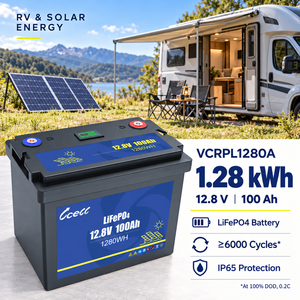Batería de ciclo profundo LiFePO4 de 12V 100Ah rentable con BMS integrado para RV, energía solar, marina y sistemas fuera de la red - Product Image 1