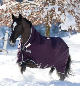 Beste Qualität Luxuriöse Winter Wasserdichte Atmungsaktive 600D Ripstop Turnout Pferdedecken Warm Anpassbar zu Günstigen Preisen - Product Image 2