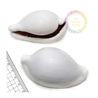 Fourniture en gros de coquillages Ovula Ovum de qualité supérieure-Coquilles d'oeufs cauri exquises une finition naturelle brillante pour l'artisanat à grande échelle