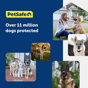 For PetSafe Stubborn <b>Dog</b> In-Ground Containment <b>Collar</b> Receiver Waterproof Nylon Fence with Tone Vibrae & Static Features - Product Image 6