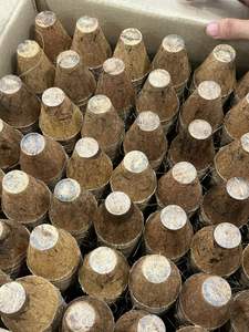 หม้อก๊อกโก้แฮนด์เมด 100%/หม้อใยโกโก้ในเวียดนาม/หม้อก๊อกโก้ธรรมชาติหรือหม้อใยมะพร้าวสําหรับสวนและบ้านแฮนด์เมด - Product Image 5