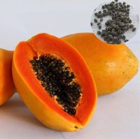 IQF Diepvries Dwergpapaya en Rode Papaya F1 Voedzaam met waterbehoud en bulkverpakkingen tegen de beste prijs