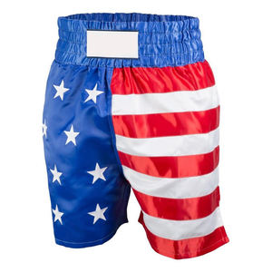 2026 Polyester Satin Trunk Boxing Short Design High Quality Boxing Trunk Shorts Boxing Shorts MMA Fighting Shorts For Training - Product Image 2