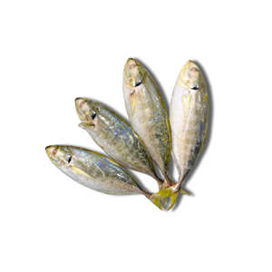 Iqf yellowtail scad ปลาแช่แข็งทั้งหมดส่งออกอาหารทะเลบรรจุภัณฑ์จำนวนมาก - Product Image 2