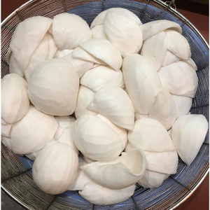 VIANDE DE NOIX DE COCO CONGELÉE-NOIX DE COCO 100% NATURELLE DU VIETNAM/OFFRE AU MEILLEUR PRIX DE HAUTE QUALITÉ - Product Image 2