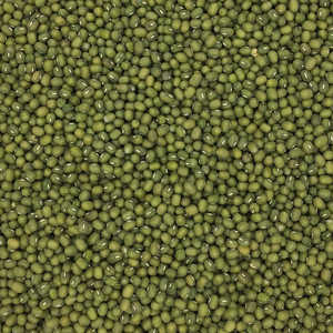 Lentejas Verdes Enteras Pulidas Sorortex Premium, Altas en Proteína, 23 a 24 Gramos de Proteína, 347 Calorías, 15% de Humedad, Paquete a Granel 1 - Product Image 5