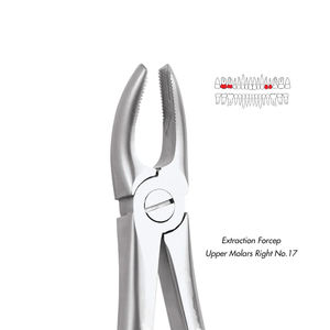 Vente chaude Premium qualité d'exportation Instrument de chirurgie dentaire pince d'extraction de dents en acier inoxydable Fig. 17 molaires supérieures droite - Product Image 2