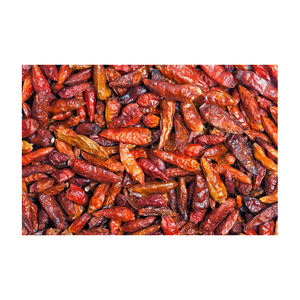 Piment rouge séché 100% naturel, assaisonnement, vente en gros à prix avantageux, Belgique, durée de conservation de 18 mois - Product Image 5