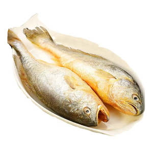 Poisson croaker jaune surgelé IQF (500-800) 20 kg, qualité supérieure, emballage sous vide - Product Image 5