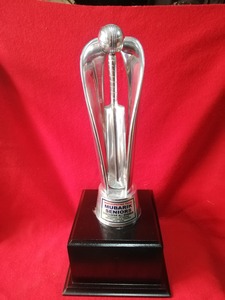 Stainless Steel Sports <b>Trophy</b> <b>Cup</b> Customized Achievement Award Display Durable Premium Quality - Product Image 6