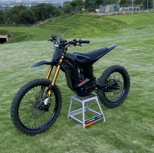 Bicicleta Eléctrica de Montaña 2025, Horquilla Dorada, Arctic Leopard Xe Pro S Mx Versión OEM DIY - Product Image 1