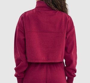 Otoño e invierno nuevo Lazy Simple Plus Fleece Wool Pullover Hoodie Design Sense Of Loose Top Mujer Gruesa - Product Image 5