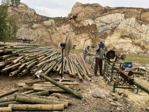 LA MEJOR VENTA Poste de bambú para uso industrial y artesanal, fuerte palo de bambú reutilizable para construcción y exhibiciones, Vietnam - Product Image 2