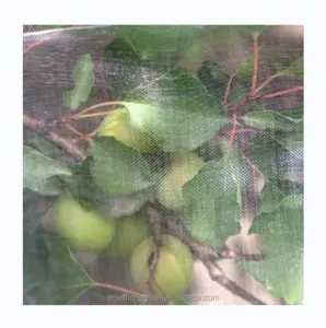 Agrarische Kas Tuin Planten Anti Bladluis Witte Vlieg Insectennet Hdpe Mesh Net Voor Bescherming Van Groenten