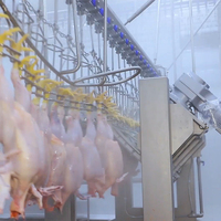 Abattoir automatique de poulets de Raniche 500 Bph Abattoir mobile de volaille Abattoir